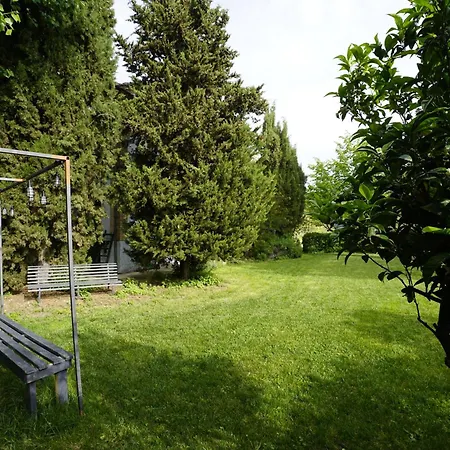 Podere Sant'anna -bambu