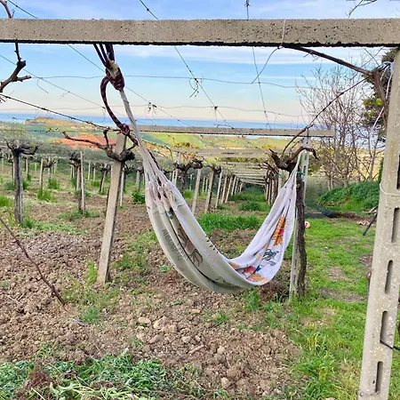 Podere Sant'anna -bambu