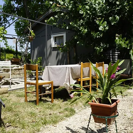 Podere Sant'anna -bambu Country house