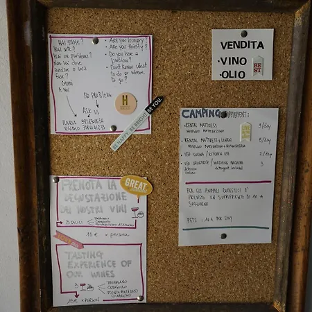 Podere Sant'anna -bambu Country house *