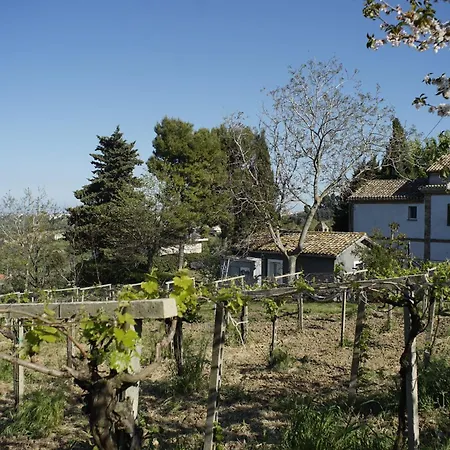 Podere Sant'anna -bambu *
