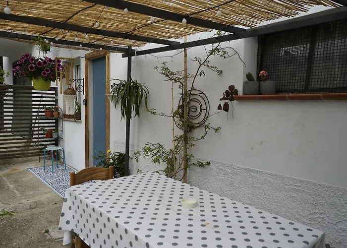 Podere Sant'anna -bambu Atri