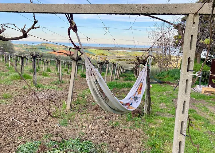 Podere Sant'anna -bambu